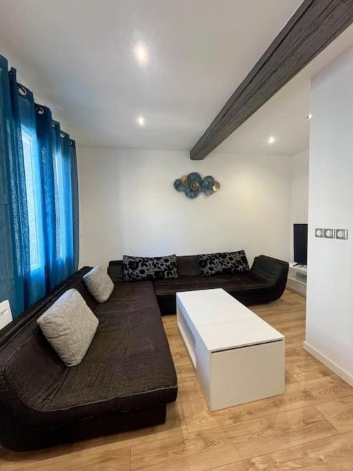 Appartement T2 Renove A 15 Min De Lyon à Pierre-Bénite Extérieur photo